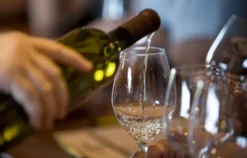 Weinseminar für Einsteiger Walldorf