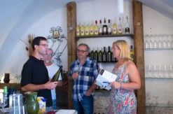 Weinseminar für EinsteigerWillendorf