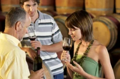 Weinseminar für Genießer