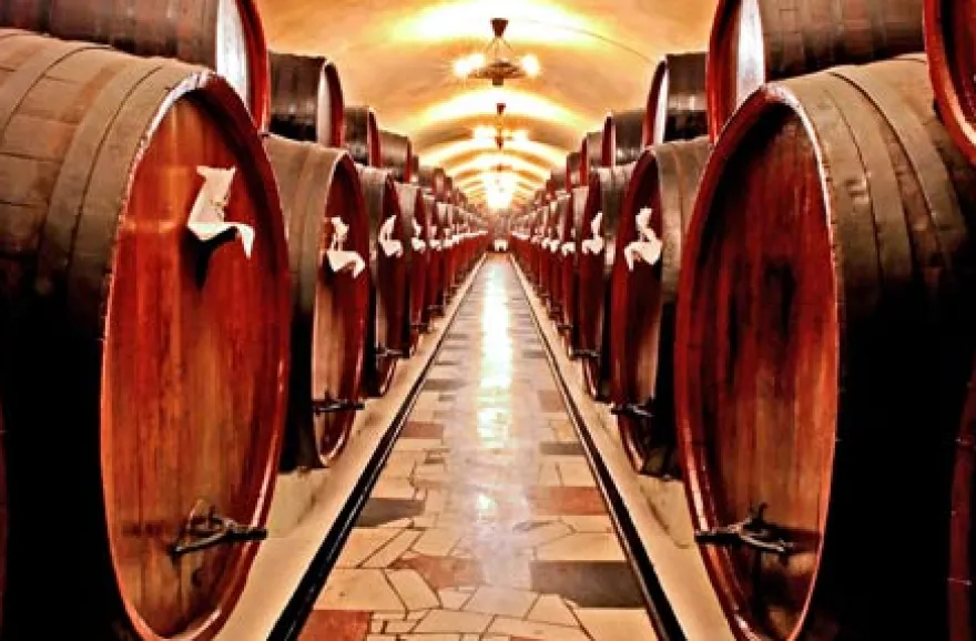 Weinseminar für Genießer