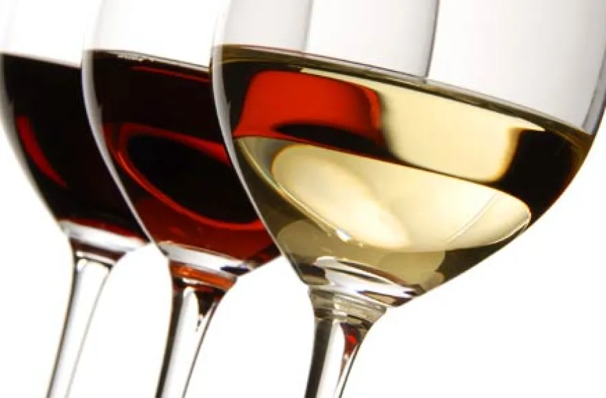 Weinseminar für Genießer
