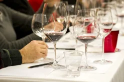 Weinseminar für Kenner Wien