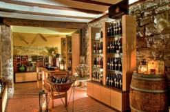 Weinseminar in Erfurt