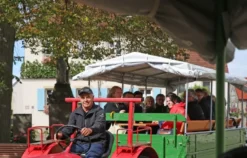 Weinseminar in Zeilitzheim (Rundfahrt & Verkostung)