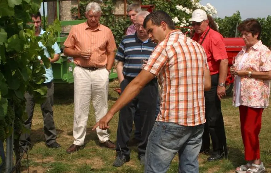 Weinseminar in Zeilitzheim (Rundfahrt & Verkostung)