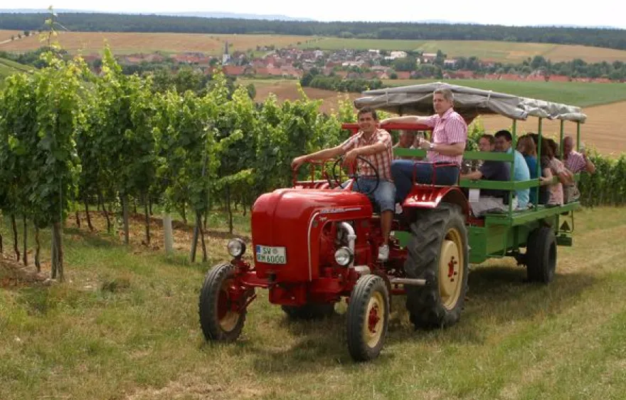 Weinseminar in Zeilitzheim (Rundfahrt & Verkostung)