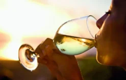 Weinseminar Luzern (Weinbasics)