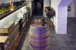Weinseminar München