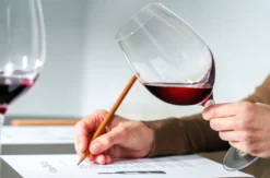 Weinseminar Rauchwart