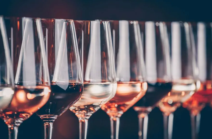 Weinseminar Rotkäppchen Erlebniswelt Freyburg