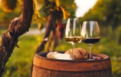 Wein Tasting für 2 Flomborn