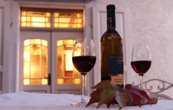 Wein Tasting für 2 Flomborn