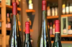 Wein Tasting in München