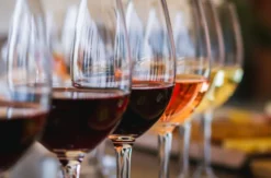Weintasting Mainz