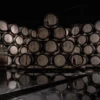Wein Tasting Stuttgart Bad Cannstatt