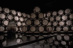 Wein Tasting Stuttgart Bad Cannstatt