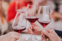 Wein und Käse Tasting Hamburg
