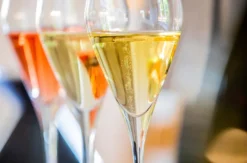 Wein-und Schaumweinseminar in der Villa Mumm Eltville