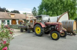 Weinverkostung mit Übernachtung im Weinviertel für 2