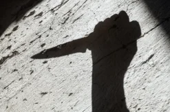 Weinverkostung mit Krimi online
