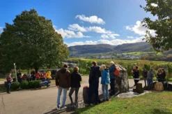 Weinwanderung Lieser an der Mosel