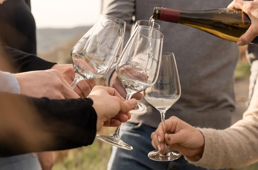 Weinwanderung Lieser an der Mosel