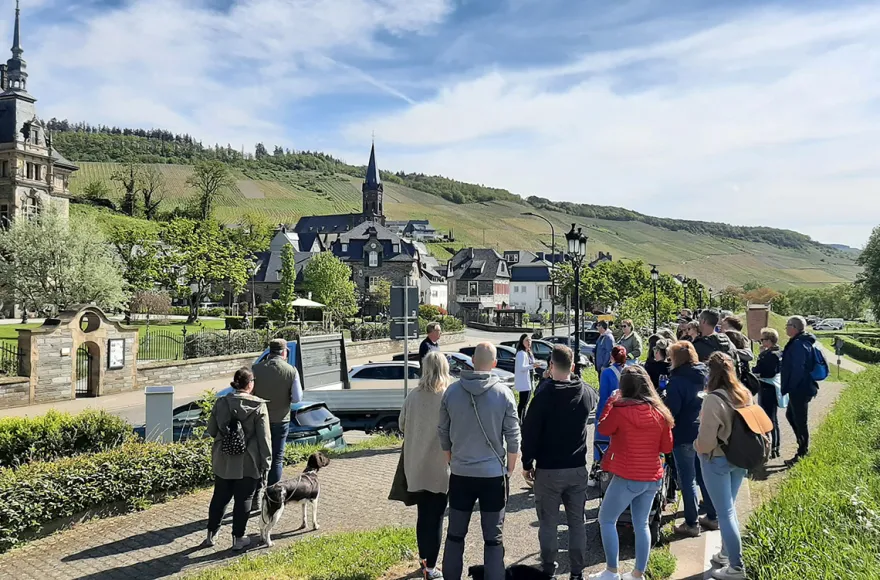 Weinwanderung Lieser an der Mosel