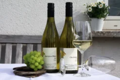Weinwanderung mit Verkostung Reil