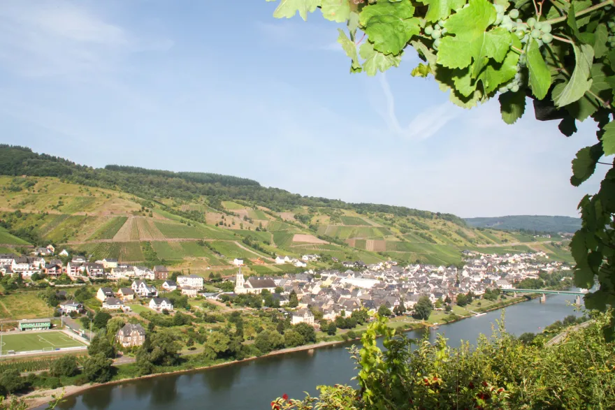 Weinwanderung mit Verkostung Reil