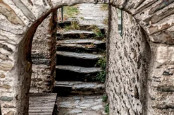 Weinwanderung Oberwesel