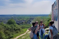 Weinwanderung Rheinhessen