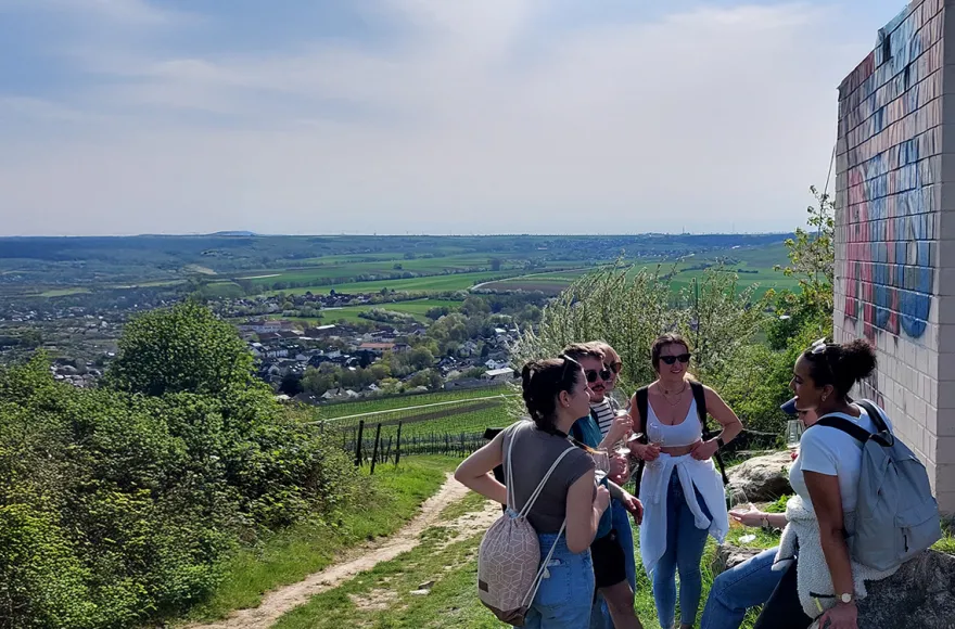 Weinwanderung Rheinhessen