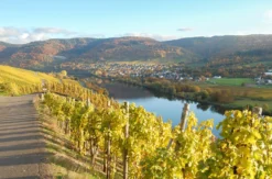 Weinwanderung und Schifffahrt auf der Mosel Bernkastel