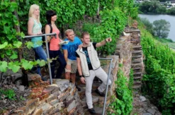 Weinwanderung und Schifffahrt auf der Mosel Cochem