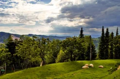 Wellness-Kurzurlaub im Bio-Hotel in Kärnten für 2