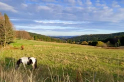 Wellnessurlaub am Rennsteig für 2 (1 Nacht)