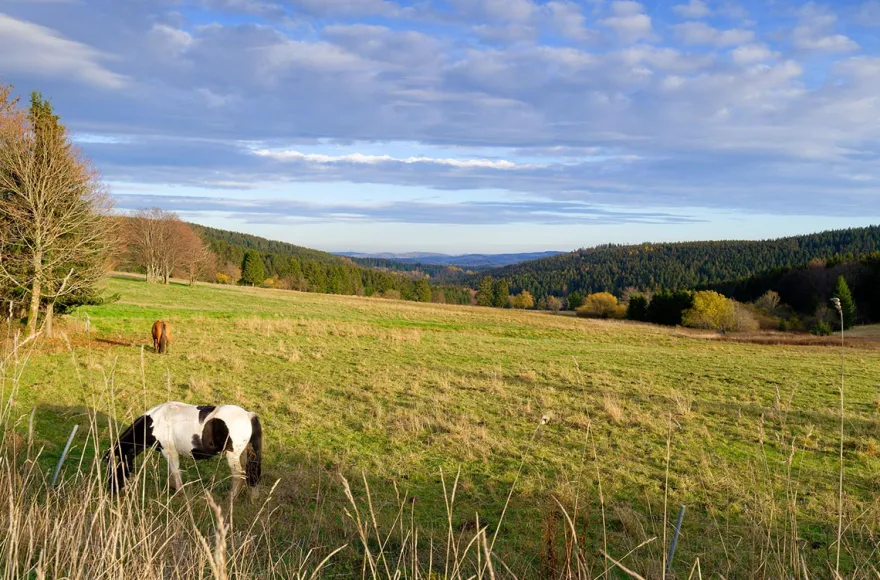 Wellnessurlaub am Rennsteig für 2 (1 Nacht)