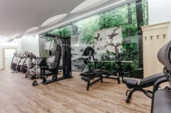 Wellnessurlaub Bad Kreuzen für 2 (1 Nacht)