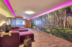 Wellnessurlaub Drachselsried für 2 (1 Nacht)