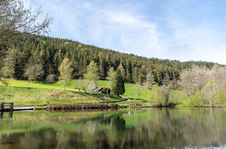 Wellnessurlaub im Schwarzwald (Berneck) für 2 (2 Nächte)