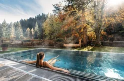 Wellness-Urlaub in Bad Kleinkirchheim für 2 (2 Nächte)