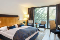 Wellnessurlaub Mainz für 2 (1 Nacht)