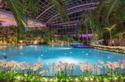 Wellnessurlaub mit Therme Sinsheim für 2 (1 Nacht)