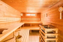 Wellnessurlaub Schladming für 2 (2 Nächte)