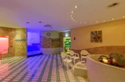 Wellnessurlaub Schöneck für 2 (1 Nacht)