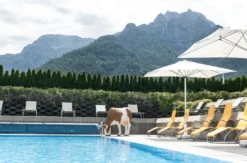 Wellnessurlaub Tirol für 2 (2 Nächte)