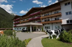 Wellnessurlaub Tirol für 2 (2 Nächte)