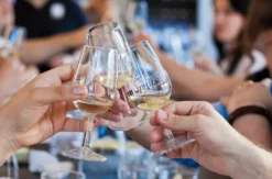 Whisky & Käse Tasting
