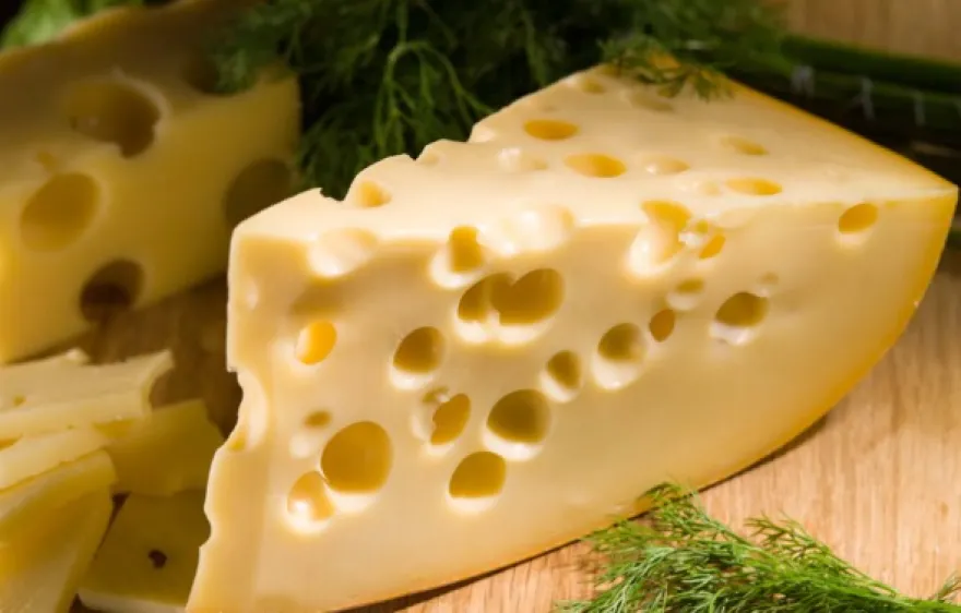 Whisky Käse Tasting Berlin