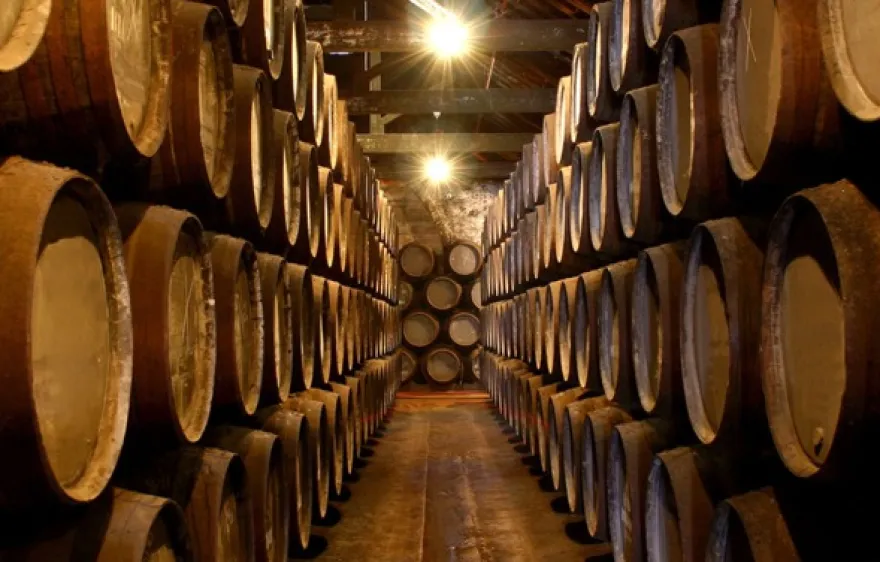 Whisky Käse Tasting Berlin